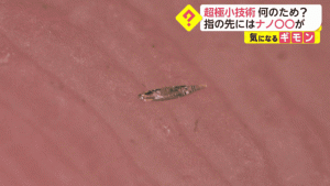 Japanese perverted precision processing, the battleship model that can only be seen with a microscope is amazing